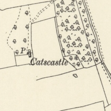 catscastle1879