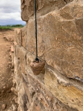 Roman plumb bob